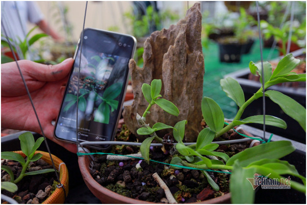 Bo 400 trieu choi lan, doi ban than Ha Noi co gia tai chuc ty-Hinh-5