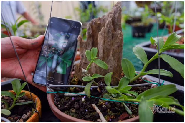 Bo 400 trieu choi lan, doi ban than Ha Noi co gia tai chuc ty-Hinh-5