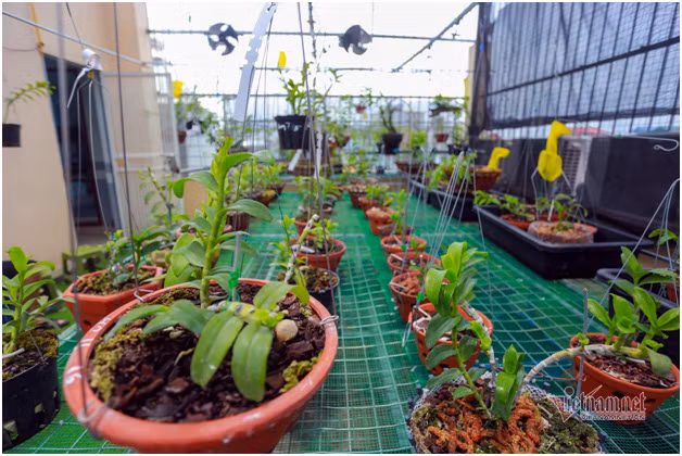 Bo 400 trieu choi lan, doi ban than Ha Noi co gia tai chuc ty-Hinh-4