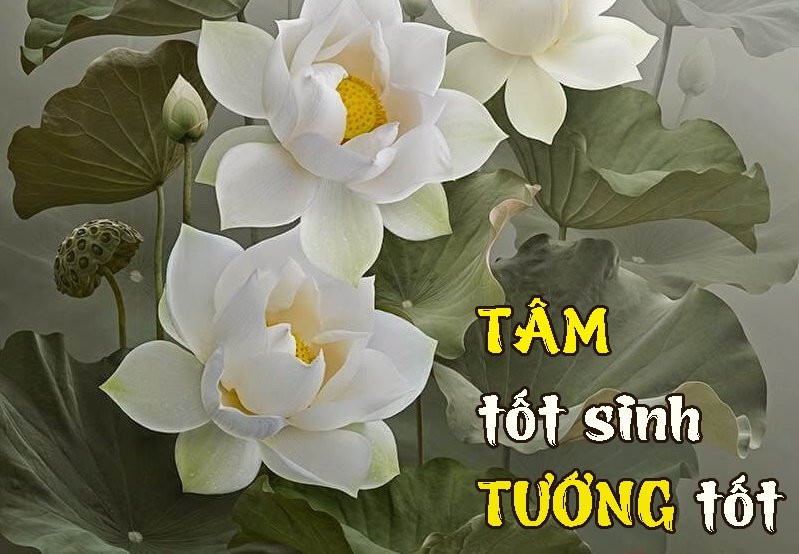 Lam viec thien hay ac deu khien tuong mao thay doi theo-Hinh-2