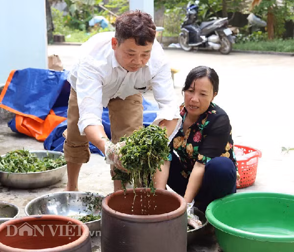 Rau mot thoi an chong doi, nay thu ca trieu dong moi ngay-Hinh-8