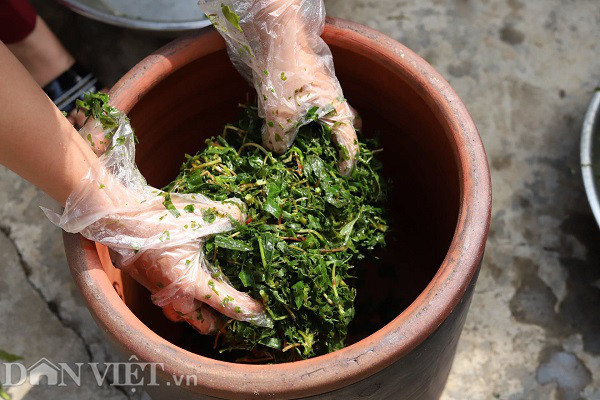 Rau mot thoi an chong doi, nay thu ca trieu dong moi ngay-Hinh-2