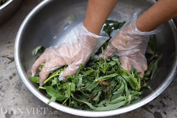 Rau mot thoi an chong doi, nay thu ca trieu dong moi ngay-Hinh-7