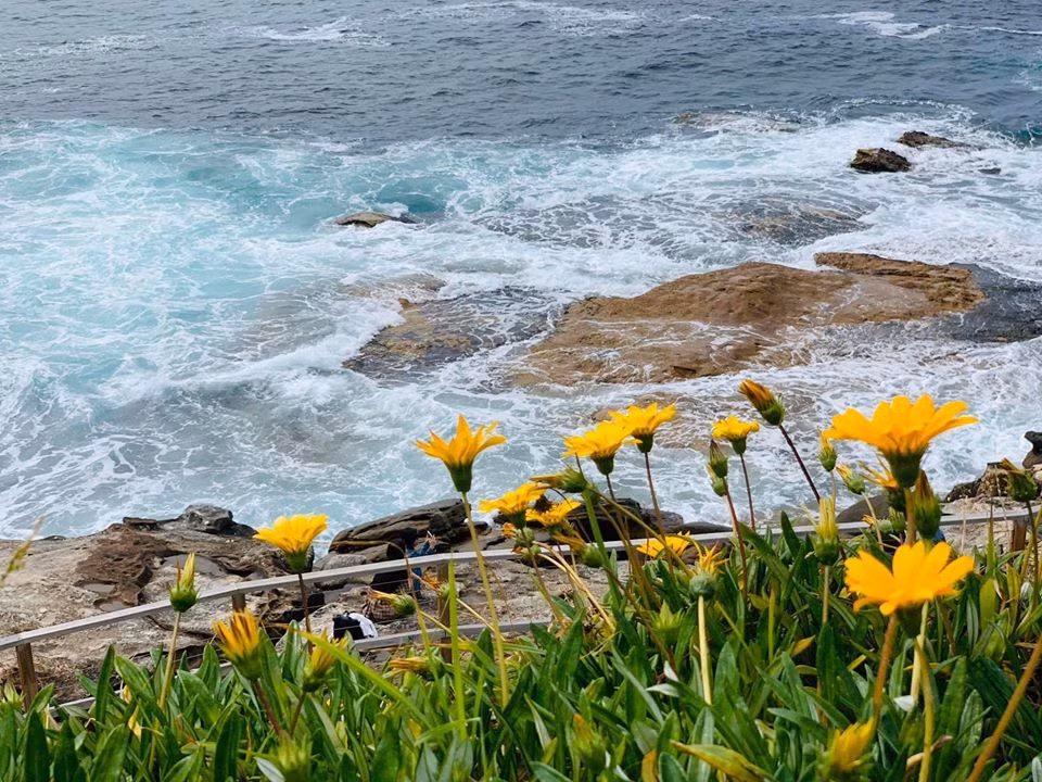 Làm mẹ đơn thân hay cung phụng một người tham vật chất ảnh 1