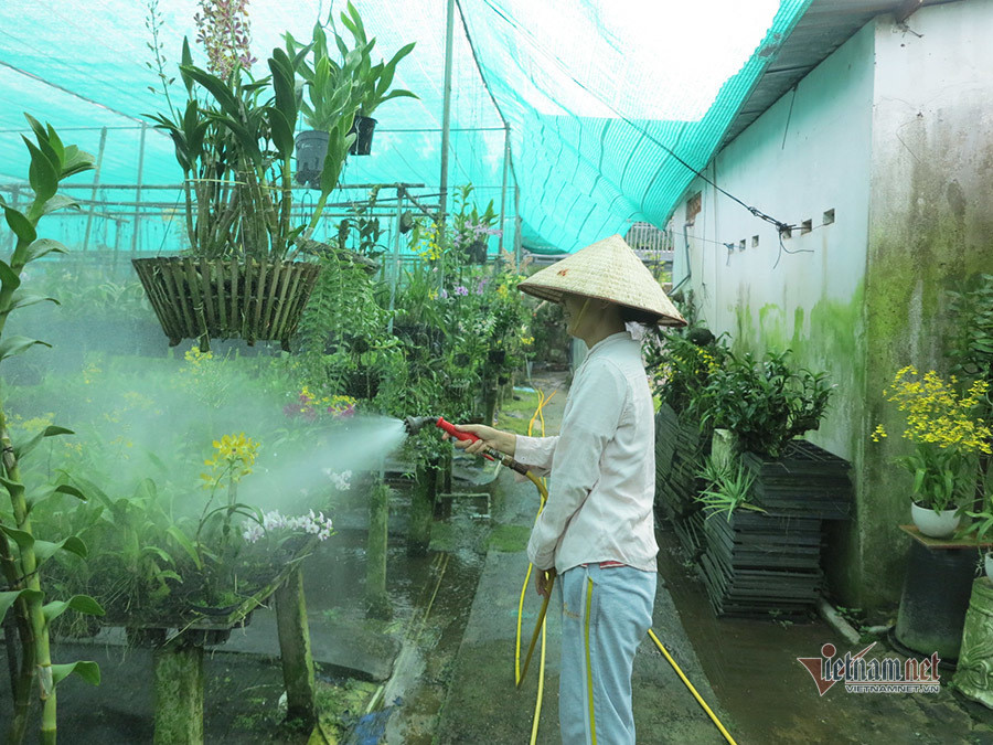 Vuon lan gan 20.000 cay hang chuc ty cua tay choi Sai Thanh-Hinh-4