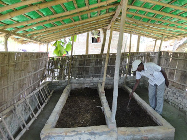 Nuôi con ngoe nguẩy đẻ siêu nhanh, bán dễ dàng, tha hồ hốt bạc Nuoi con ngoe nguay de sieu nhanh, ban de dang, tha ho hot bac