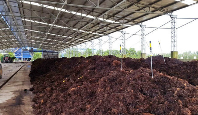 Nuôi con ngoe nguẩy đẻ siêu nhanh, bán dễ dàng, tha hồ hốt bạc - Hình 11 Nuoi con ngoe nguay de sieu nhanh, ban de dang, tha ho hot bac-Hinh-11