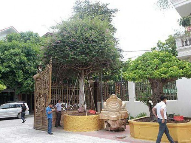 Cherry My khong con re, chi em ru nhau mua chung-Hinh-3