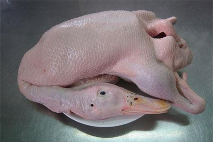 Cách chọn vịt ngon không tiêm nước, không ốm bệnh, chị em nên biết Cach chon vit ngon khong tiem nuoc, khong om benh, chi em nen biet