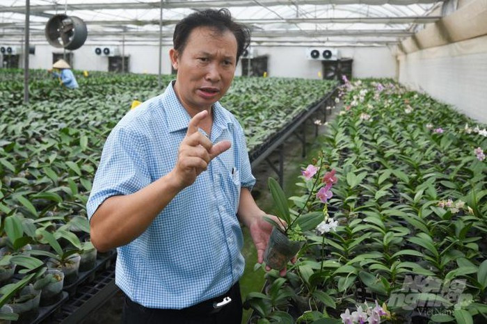 Lan dot bien co nhan giong nuoi cay mo duoc khong?-Hinh-2