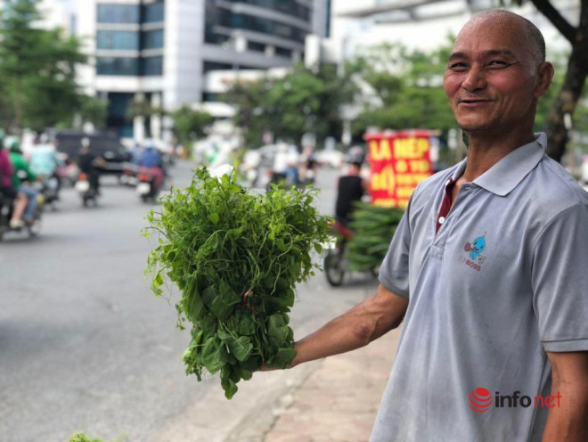 Dac san rau rung do bo ve Thu do, gia chat van chay hang-Hinh-2