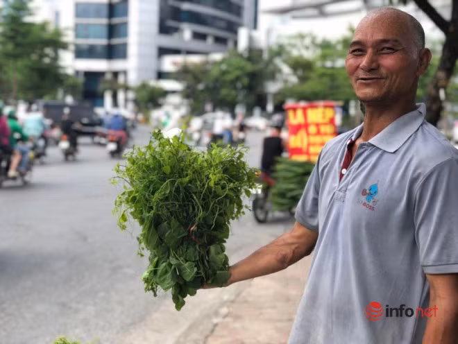 Dac san rau rung do bo ve Thu do, gia chat van chay hang-Hinh-2