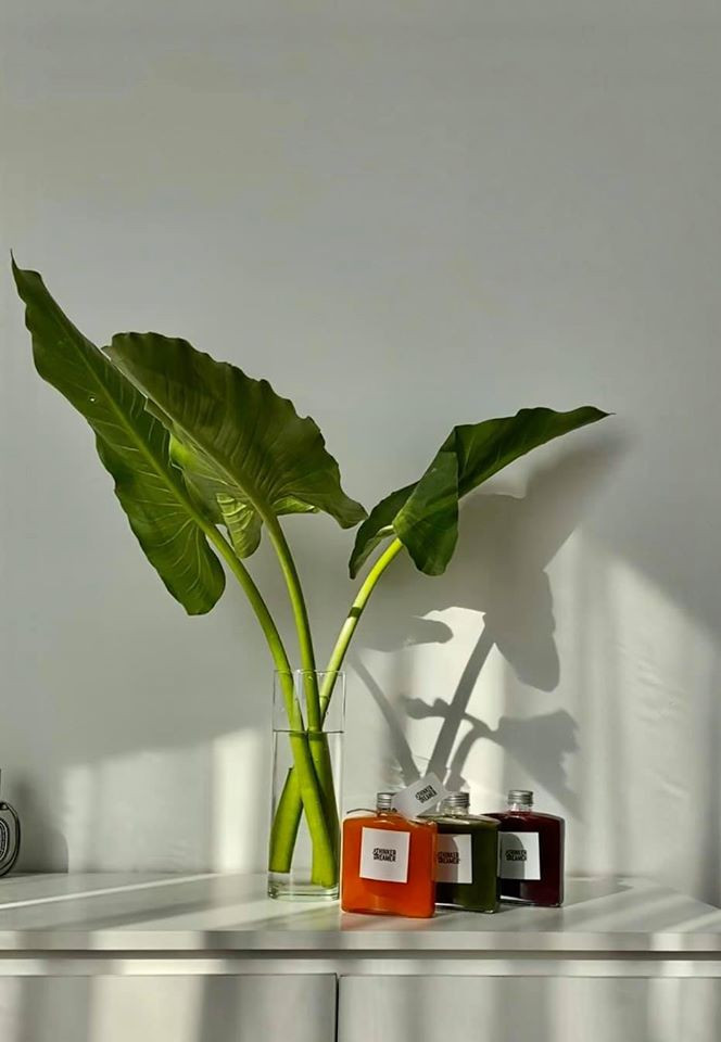 Từng góc nhà đều được chủ nhân chăm chút tỉ mỉ.