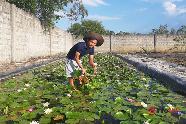 Thu tien ty moi nam nho lieu trong hoa sung ngoai