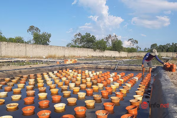 Thu tien ty moi nam nho lieu trong hoa sung ngoai-Hinh-4