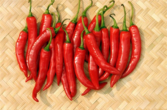 Ăn loại quả này "chặn" tế bào ung thư, chữa nhiều bệnh cực tốt ảnh 2 Ăn loại quả này "chặn" tế bào ung thư, chữa nhiều bệnh cực tốt ảnh 2