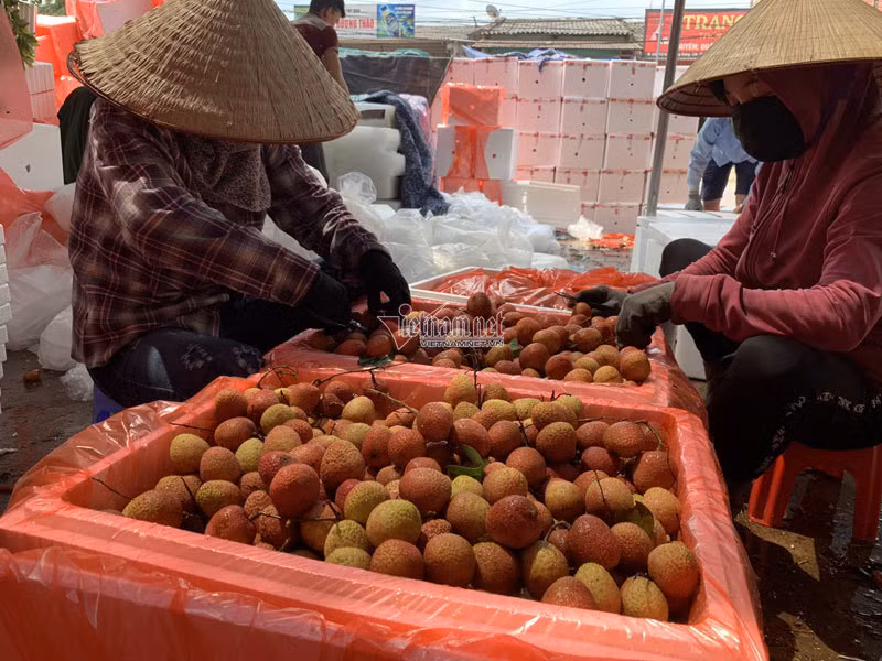 Het cach ly, 45 thuong lai Trung Quoc gom ngan tan vai thieu-Hinh-8