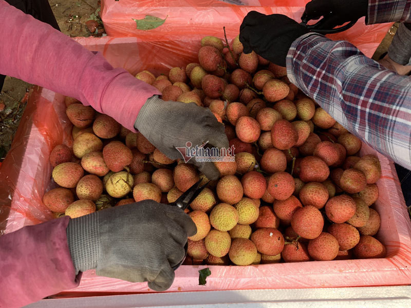 Het cach ly, 45 thuong lai Trung Quoc gom ngan tan vai thieu-Hinh-7