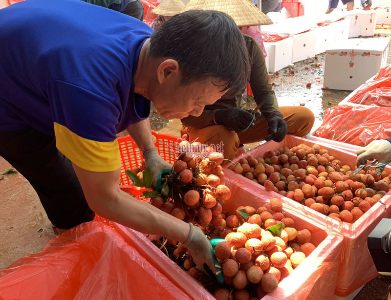 Het cach ly, 45 thuong lai Trung Quoc gom ngan tan vai thieu-Hinh-6