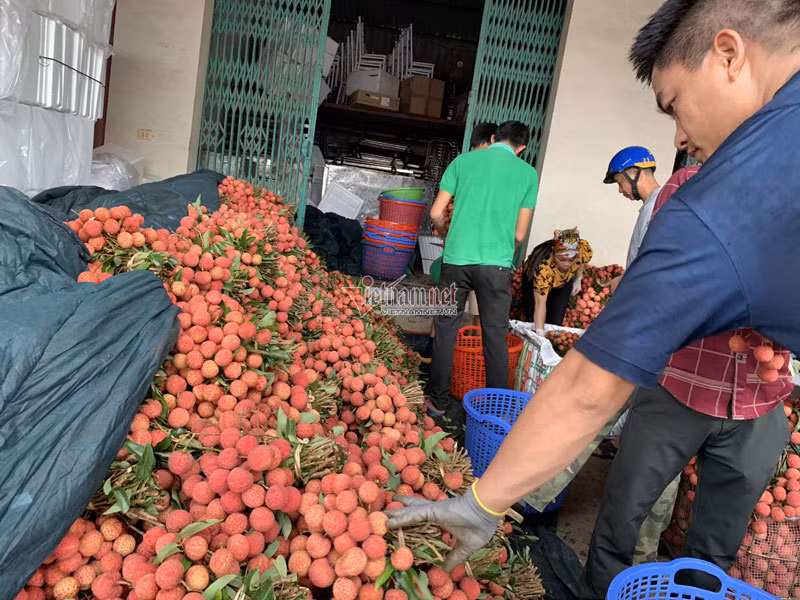 Het cach ly, 45 thuong lai Trung Quoc gom ngan tan vai thieu-Hinh-4