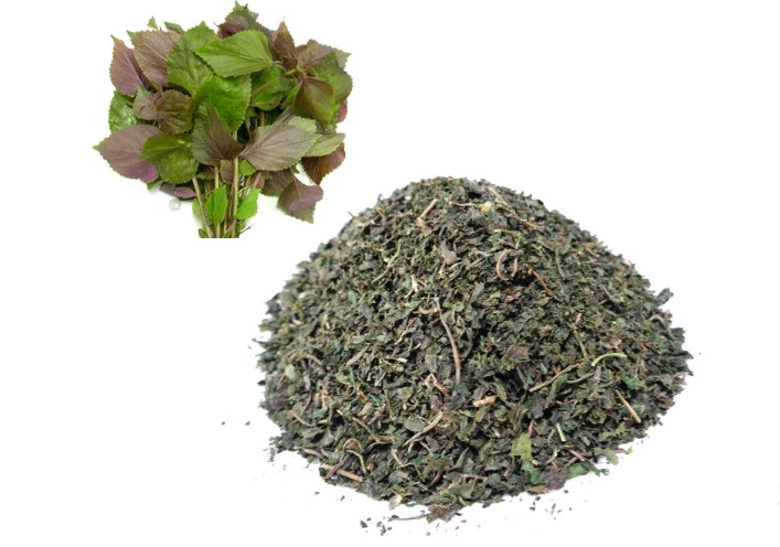 Cách trị nám và tàn nhang chỉ với một bó lá tía tô - Hình 4 Cach tri nam va tan nhang chi voi mot bo la tia to-Hinh-4