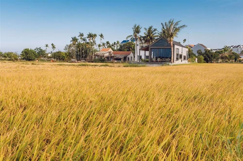 Ngoi nha cap 4 cuc doc dao o Hoi An-Hinh-4