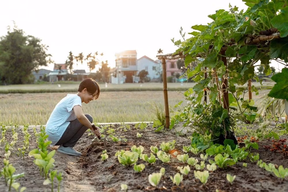 Ngoi nha cap 4 cuc doc dao o Hoi An-Hinh-8