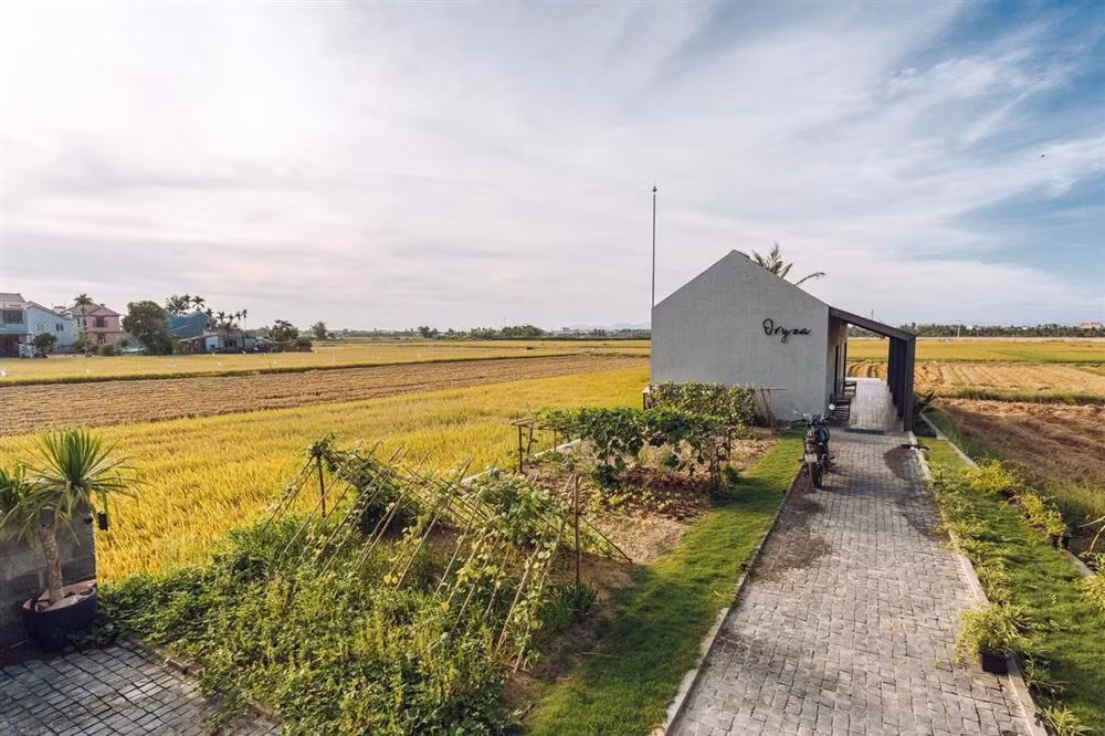 Ngoi nha cap 4 cuc doc dao o Hoi An