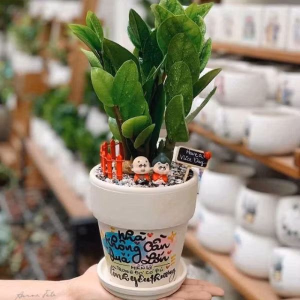 Loai cay mang den may man cho 3 con giap Ty - Mao - Thin