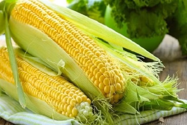 Mua ngo chi can nhin vao 1 biet ngay dau la bap ngon ngot