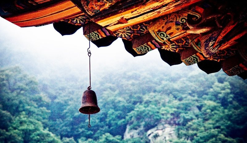 Hanh phuc thuc su la gi,va cau tra loi bat ngo-Hinh-2