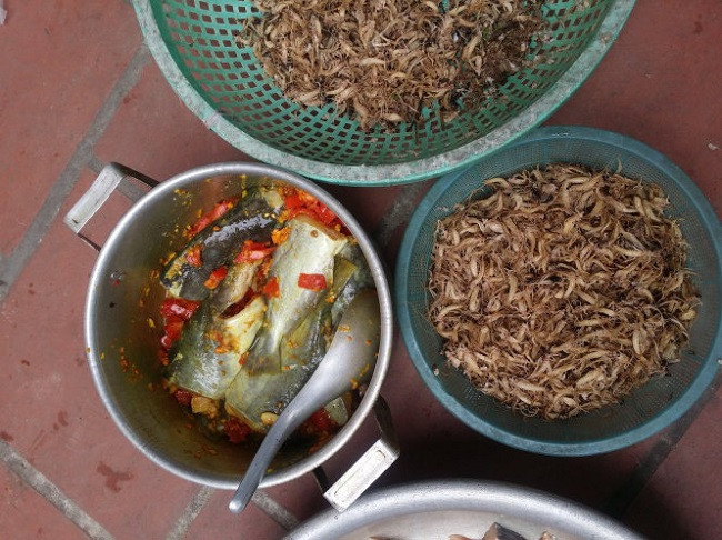 Loai con trung vat vo ngoai song duoc ban voi gia hang trieu dong/kg-Hinh-5