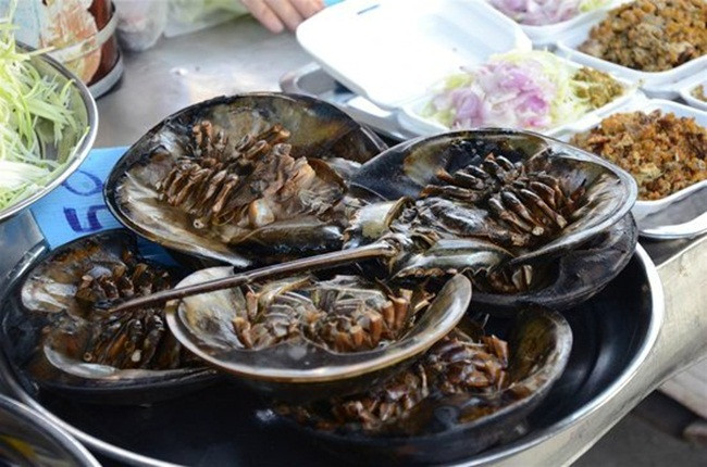 Ngoài việc dùng làm hải sản thì máu của sam là loại chất lỏng đắt nhất thế giới.