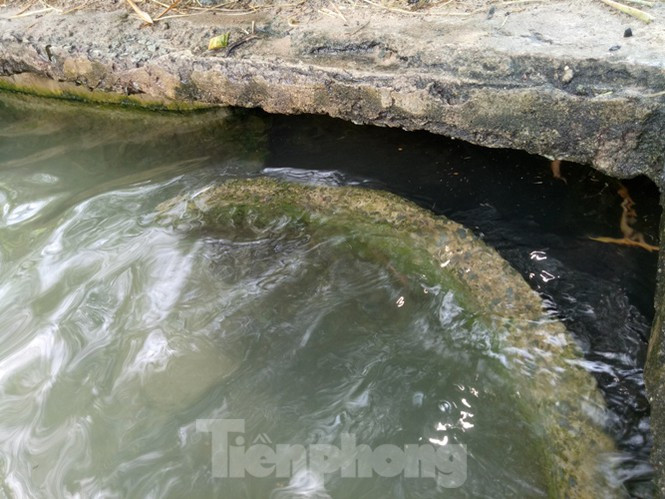 Ho nuoc 'khong day', ngan nguoi muc cung luc khong het-Hinh-4