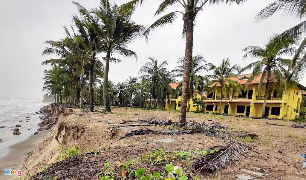 Resort tram ty o Hoi An doi mat nguy co bi bien nuot chung-Hinh-2