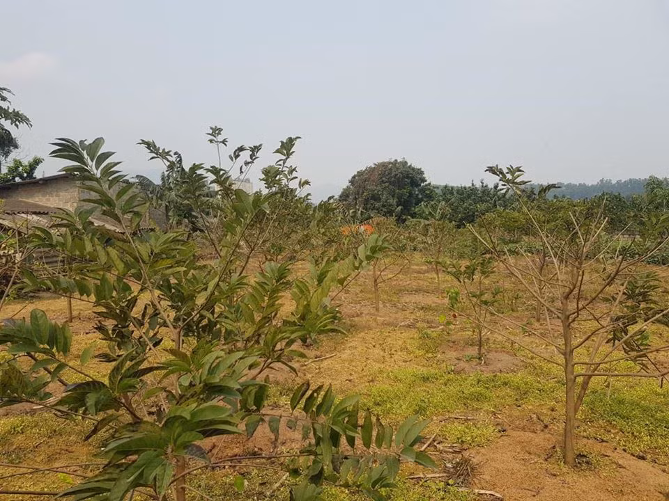 5 nam tiet kiem mua lien 2 manh dat tien ty chi tu 150 trieu cua co gai tuoi 29-Hinh-5