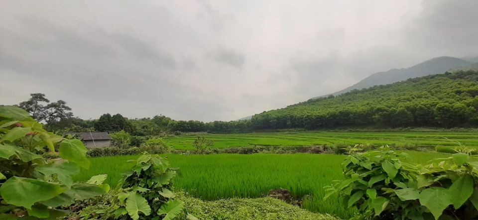 5 nam tiet kiem mua lien 2 manh dat tien ty chi tu 150 trieu cua co gai tuoi 29-Hinh-2