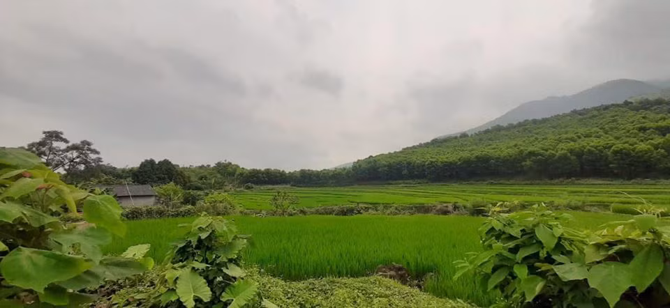 5 nam tiet kiem mua lien 2 manh dat tien ty chi tu 150 trieu cua co gai tuoi 29-Hinh-2