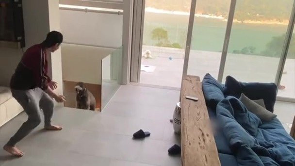 Tiết lộ căn nhà siêu sang của Trần Vỹ Đình ảnh 8