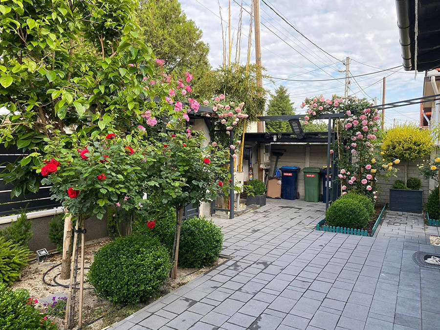 Ở Thủ đô Budapest - nơi vợ chồng anh Song sống các gia đình thường thiết kế nhà ở có sân vườn xung quanh để làm bãi cỏ, trồng hoa, rau, cây ăn trái. Căn nhà vườn của vợ chồng anh Song có diện tích 550m2. Khi thiết kế xây nhà ở, vợ chồng anh dành ra hơn 200m2 đất để làm vườn.