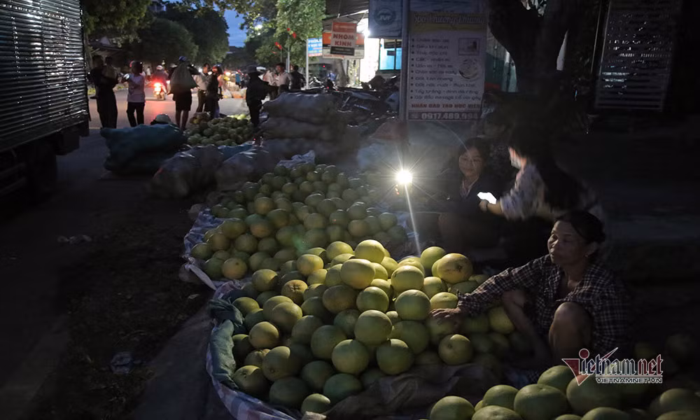 Dac san rot gia, re nhat 20 nam qua, dan soi den di cho thau dem-Hinh-6