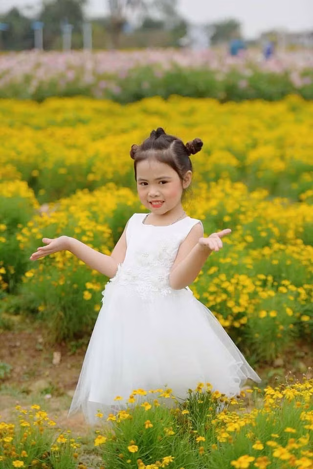 Bé Nguyễn Trần Minh Thư sinh ngày 19/1/2015, tên thường gọi là Nhím. Hiện đang học lớp Lion Trường Mầm non xứ sở diệu kỳ - Hà Nội. Là con một trong gia đình, bố mẹ không theo nghệ thuật nhưng Minh Thư lại rất đa tài và có nhiều năng khiếu đặc biệt. Cô bé có thể múa, diễn mẫu và là cây văn nghệ của trường. Minh Thư hiện đang tham gia học nhảy, múa tại CLB Hồng Anh. Cô bé thường xuyên xuất hiện trong nhiều chương trình lớn của trung ương và địa phương. Gương mặt xinh xắn, nụ cười dễ thương và sự tự tin trước ống kính giúp Minh Thư nhận được rất nhiều lời mời cộng tác chụp mẫu cho sản phẩm và thương hiệu thời trang. Ước mơ của Thư sau này sẽ trở thành một biên đạo múa hoặc một bác sĩ để chữa bệnh cho mọi người. 