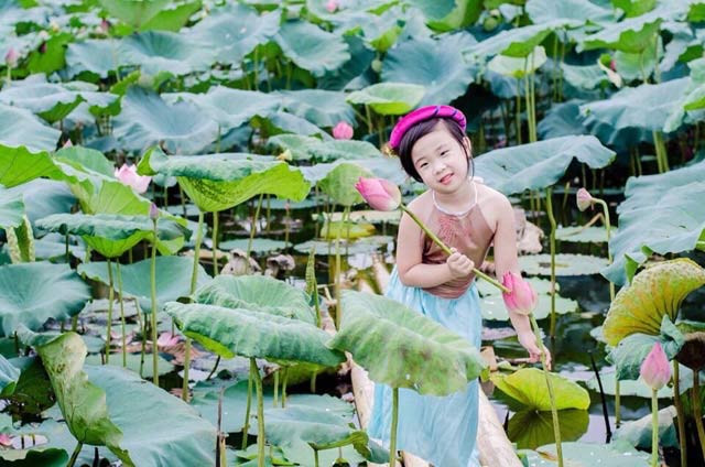 Bé Đỗ Bảo Châu sinh ngày 7/7/2010, hiện đang học lớp 4C Trường Tiểu học Hòa Thạch B - Quốc Oai - Hà Nội. Bảo Châu có năng khiếu múa, đàn, ca hát, vẽ và đặc biệt Châu nói Tiếng Anh rất giỏi. Là con thứ hai trong gia đình có ba chị em, ông ngoại từng là trưởng đoàn chèo huyện Ba Vì, bố là bộ đội, mẹ là giáo viên thanh nhạc và piano tại một trường THCS, Bảo Châu được mẹ dạy đàn và hát từ khi còn đang học mẫu giáo, cô bé thường xuyên tham gia các hoạt động nghệ thuật của trung ương và địa phương. Không chỉ tài năng, Bảo Châu còn có thành tích học tập đáng nể, cô bé từng đạt giải nhất trạng nhí Tiếng Anh cấp huyện, Giải nhì viết chữ đẹp cấp trường. Ước mơ của Bảo Châu sau này sẽ trở thành một ca sĩ hoặc một nhà ngoại giao. 