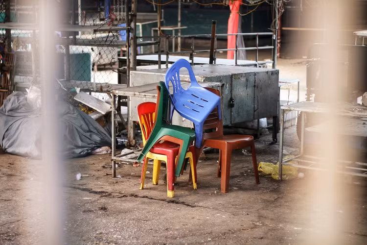 Canh tuong la chua tung thay o cho hoa lon nhat Ha Noi-Hinh-4