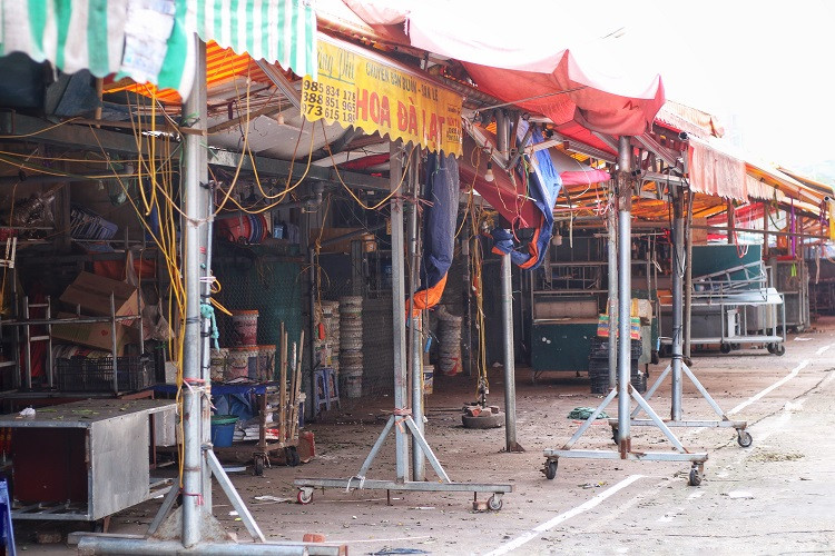 Canh tuong la chua tung thay o cho hoa lon nhat Ha Noi-Hinh-2