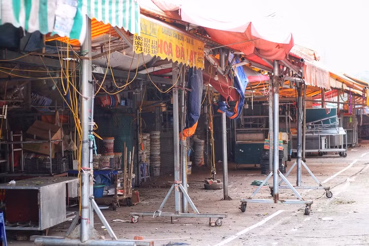 Canh tuong la chua tung thay o cho hoa lon nhat Ha Noi-Hinh-2