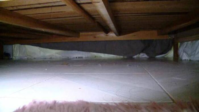 Nghe tieng dong, nu streamer hoang hot phat hien su that-Hinh-2