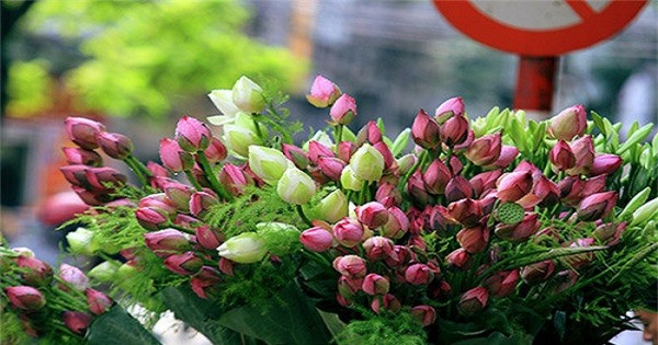 Tai sao hoa sen tro thanh bieu tuong cua nha Phat?-Hinh-2