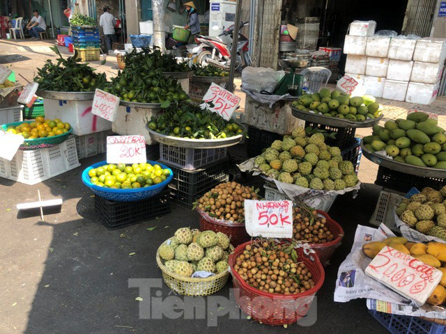 ##s###Nhiều loại trái cây mùa hè phong phú về chủng loại, đã bắt đầu đổ về các chợ tại TPHCM nhiều nhưng hầu như không có nhiều khách chọn mua. 