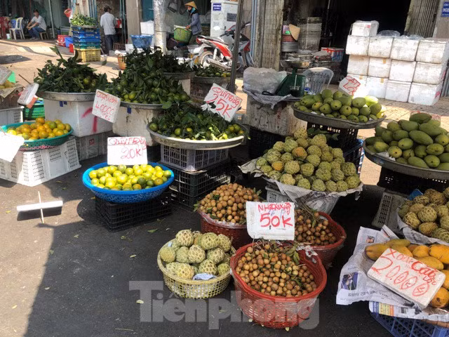 Nhiều loại trái cây mùa hè phong phú về chủng loại, đã bắt đầu đổ về các chợ tại TPHCM nhiều nhưng hầu như không có nhiều khách chọn mua. 